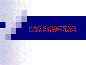 犬的生物学特性.ppt