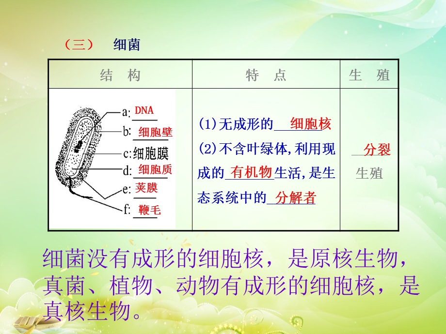 生物圈中的微生物.ppt_第3页