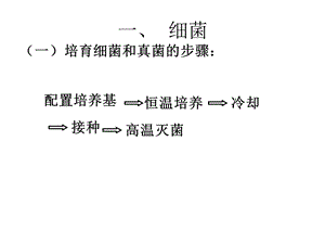 生物圈中的微生物.ppt