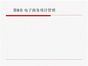 电子商务第9章电子商务项目管理.ppt