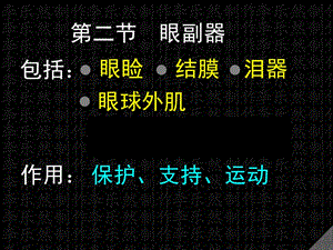 眼副器精品医学课件.ppt