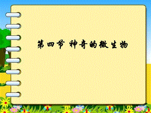 神奇的微生物课件.ppt