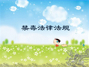禁毒法律法规.ppt