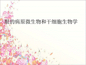 眼的病原微生物.ppt