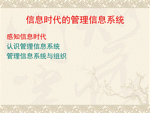 管理信息系统信息时代的管理信息系统方案.ppt