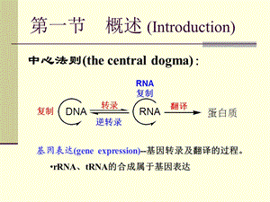 研究生分子生物学.ppt