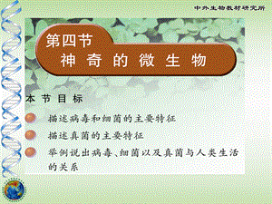神奇的微生物.ppt