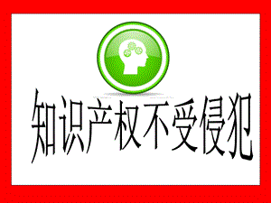 知识产权不受侵犯.ppt