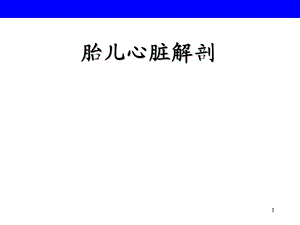 胎儿心脏解剖PPT医学课件.ppt