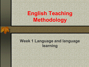 英语教学法教案.ppt