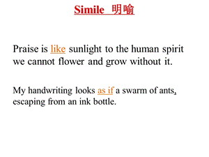 英语修辞实用.ppt