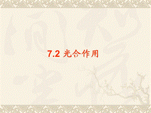 生物化学光合作用.ppt