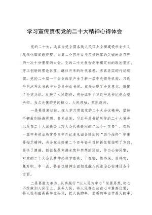 公安派出所学习宣传贯彻党的二十大精神心得体会八篇.docx
