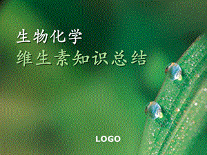 生物化学维生素知识总结.ppt