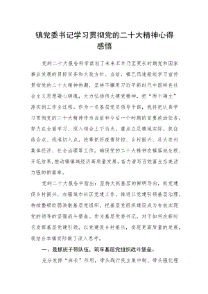 镇党委书记学习贯彻党的二十大精神心得感悟.docx