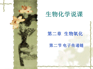生物化学说课.ppt