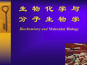 生物化学与分子生物学.ppt