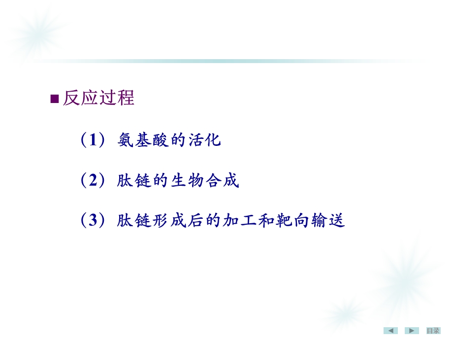 生物化学蛋白质生物合成.ppt_第3页