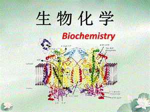 生物化学的发展简史..ppt