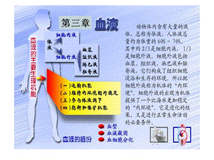 生理学血液.ppt
