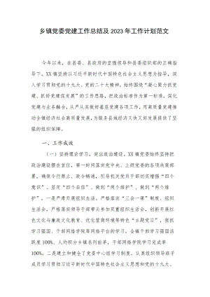 乡镇党委党建工作总结及2023年工作计划范文.docx