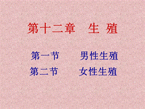 生理学生殖系统.ppt