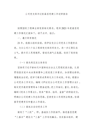 公司党支部书记抓基层党建工作述职报告.docx