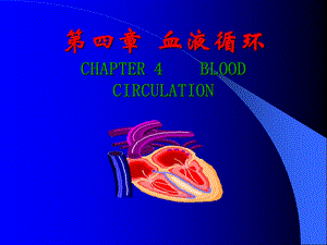 生理学完整课件循环.ppt