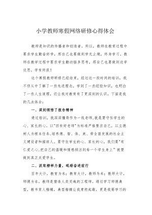 小学教师寒假网络研修心得体会.docx