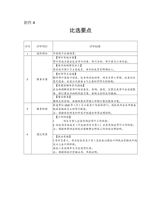审计咨询服务 比选要点.docx
