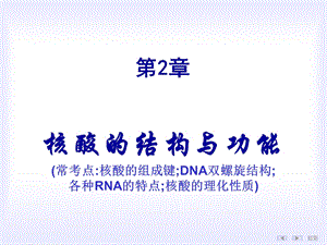 生物化学核酸的结构与功能.ppt