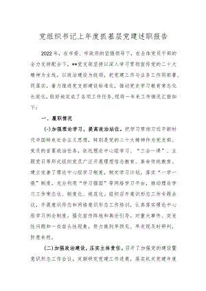 党组织书记上年度抓基层党建述职报告.docx
