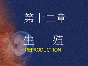 生理学生殖.ppt