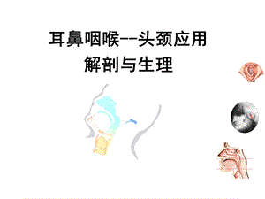 解剖学及生理学.ppt