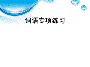 词语专项练习题.ppt