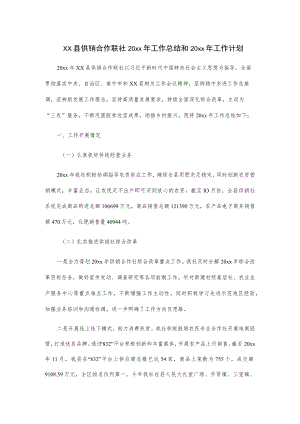 xx县供销合作联社20xx年工作总结和20xx年工作计划.docx