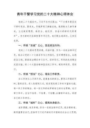 青年干警学习党的二十大精神心得体会.docx