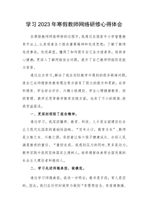 某某小学老师寒假网络研修学习心得体会范文（3篇）.docx