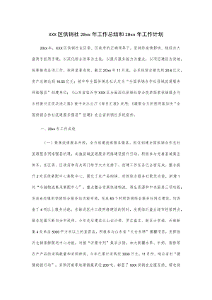 xxx区供销社20xx年工作总结和20xx年工作计划.docx