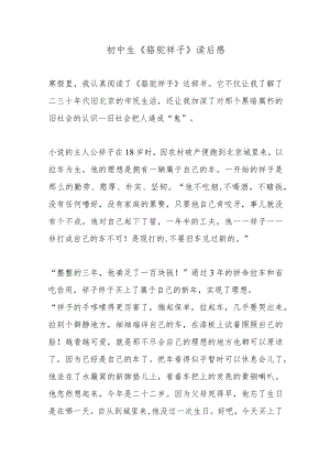 《骆驼祥子》读后感4篇.docx
