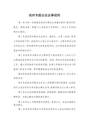 政府专题会议议事规则.docx