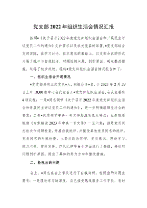 党支部2022年组织生活会情况汇报.docx