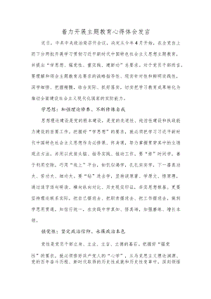着力开展主题教育心得体会发言.docx