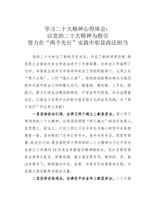 学习二十大精神心得体会：以党的二十大精神为指引努力在“两个先行”实践中彰显政法担当.docx