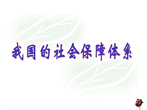我国的社会保障体系.ppt