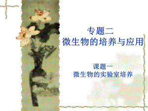 微生物的实验室培养(一轮).ppt