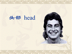 头部(研究生).ppt