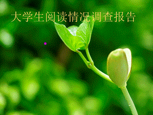 大学生阅读情况调查报告.ppt