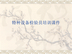 特种设备检验员培训课件.ppt