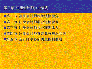 注册会计师执业规则.ppt